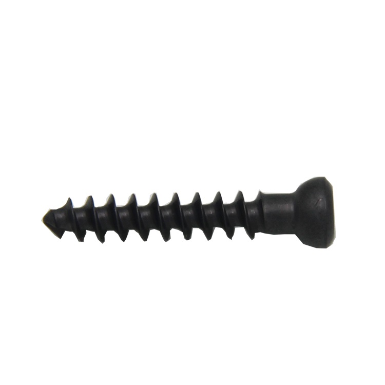 Cancellous Screw