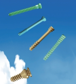 Cannulated Screw