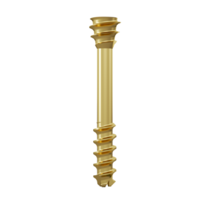 Double Threaded Compression Cannulated Screw