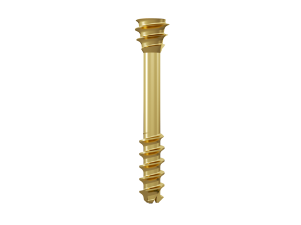 Double Threaded Compression Cannulated Screw