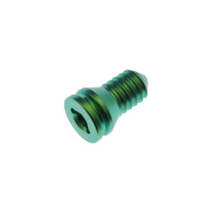 Sinus Tarsi Screw