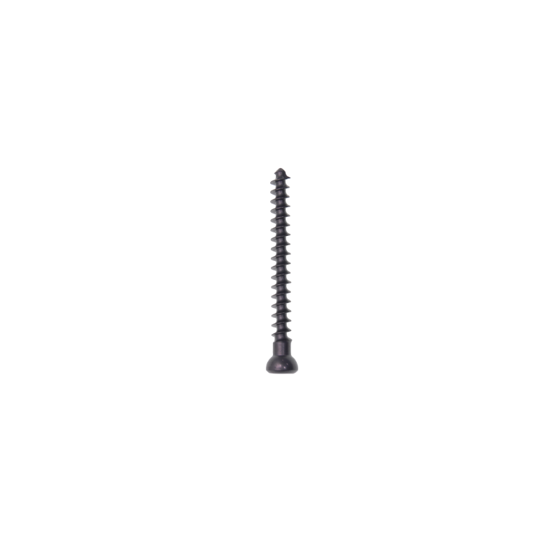 Cancellous Screw